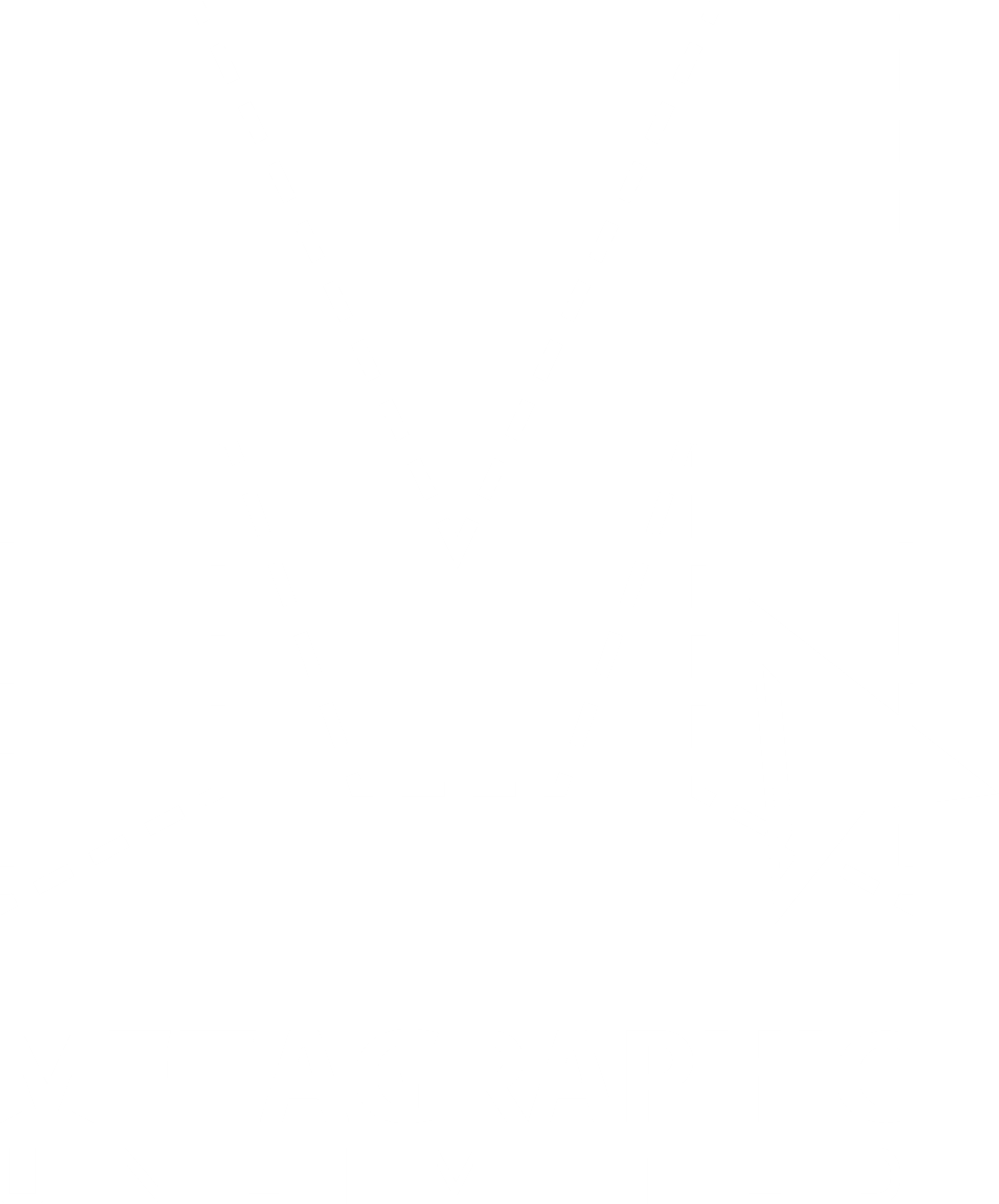 Metagraphic Unlimited Logo Footer